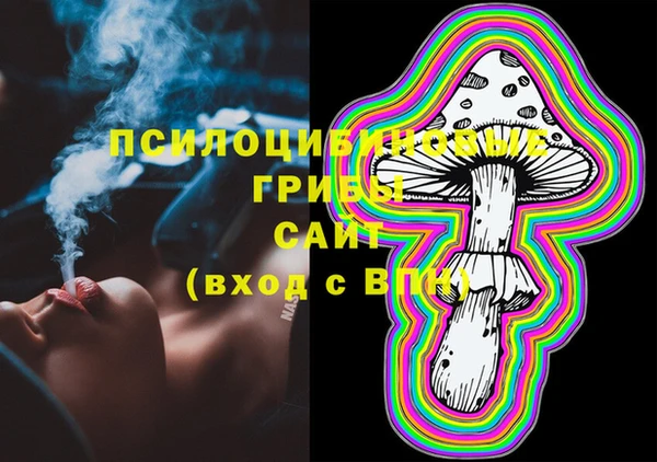бошки Балахна