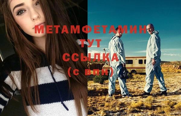 прущие грибы Покров