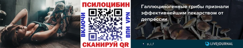 Галлюциногенные грибы мицелий  Черепаново 